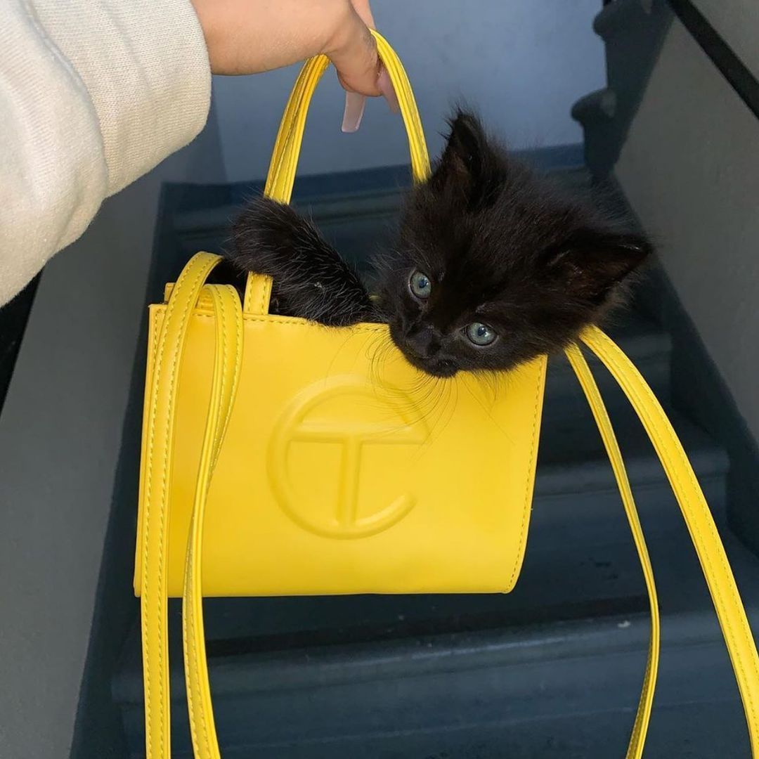 A guide to the Telfar Bag and choosing the best one for your lifestyle