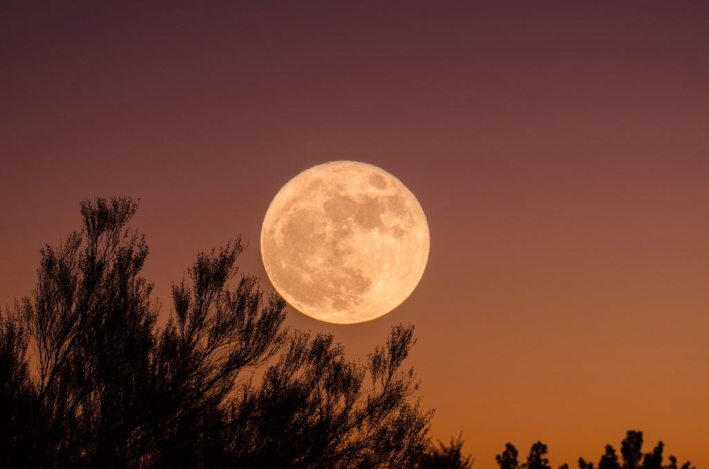 Wolf Moon 2023: How the full moon signals time of transformation and impacts the zodiacs