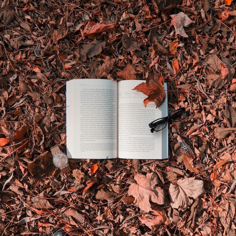 15 of the best detective novels all mystery lovers will love