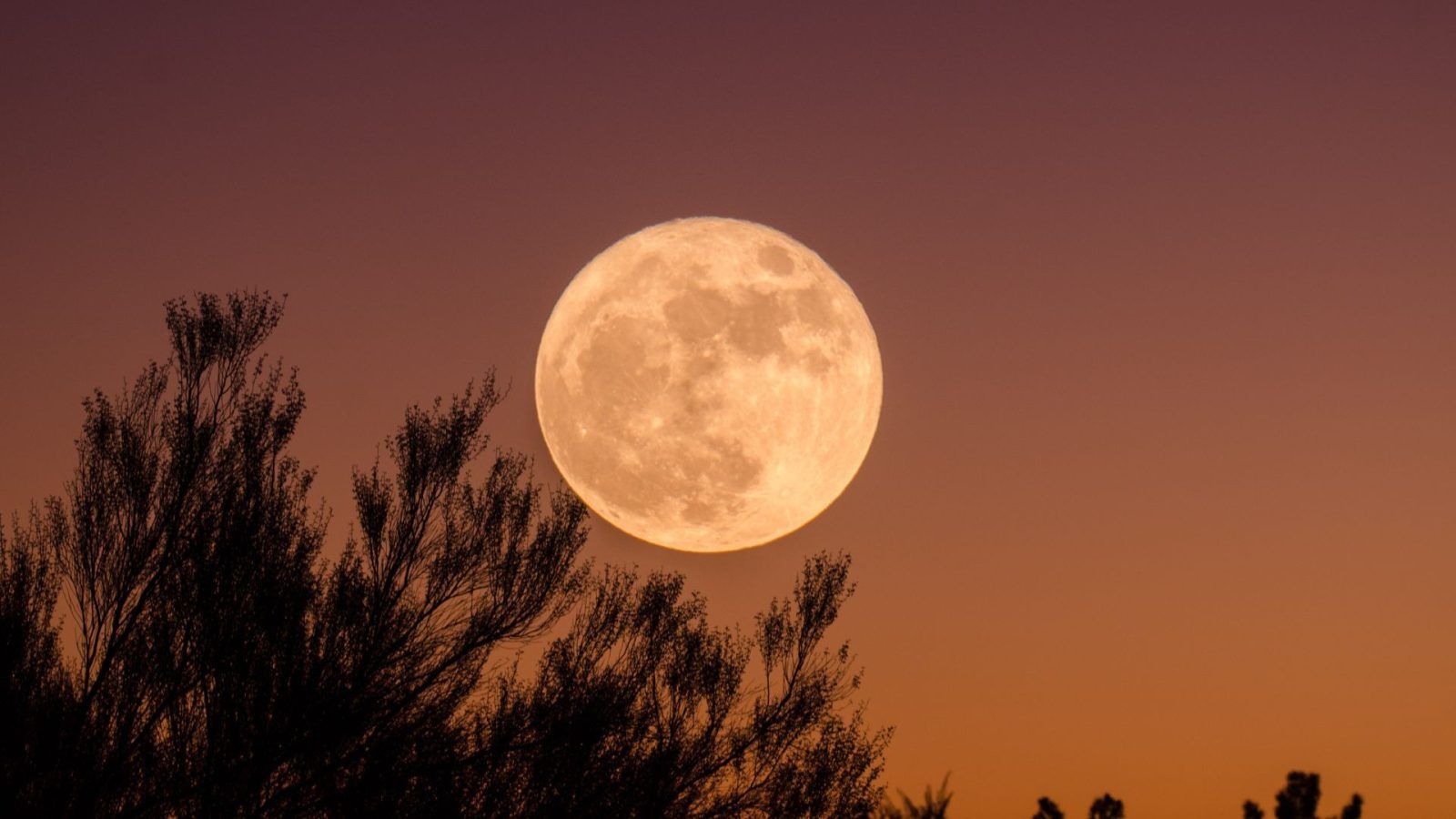 Beware Of The Full Moon In March March full moon 2023: The effects of the worm moon on all zodiac signs