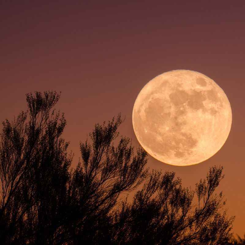 March full moon 2023: The worm moon’s effects on all zodiac signs on 7 March