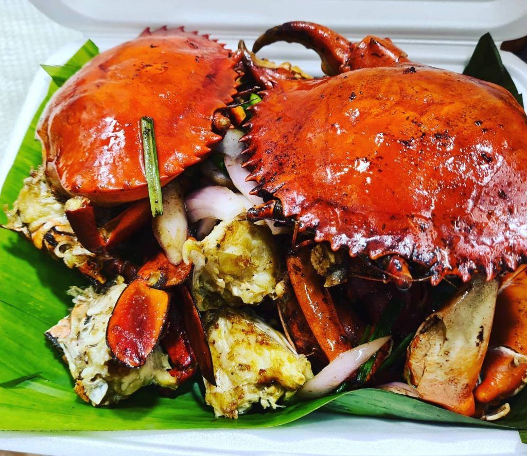 newton food centre best food