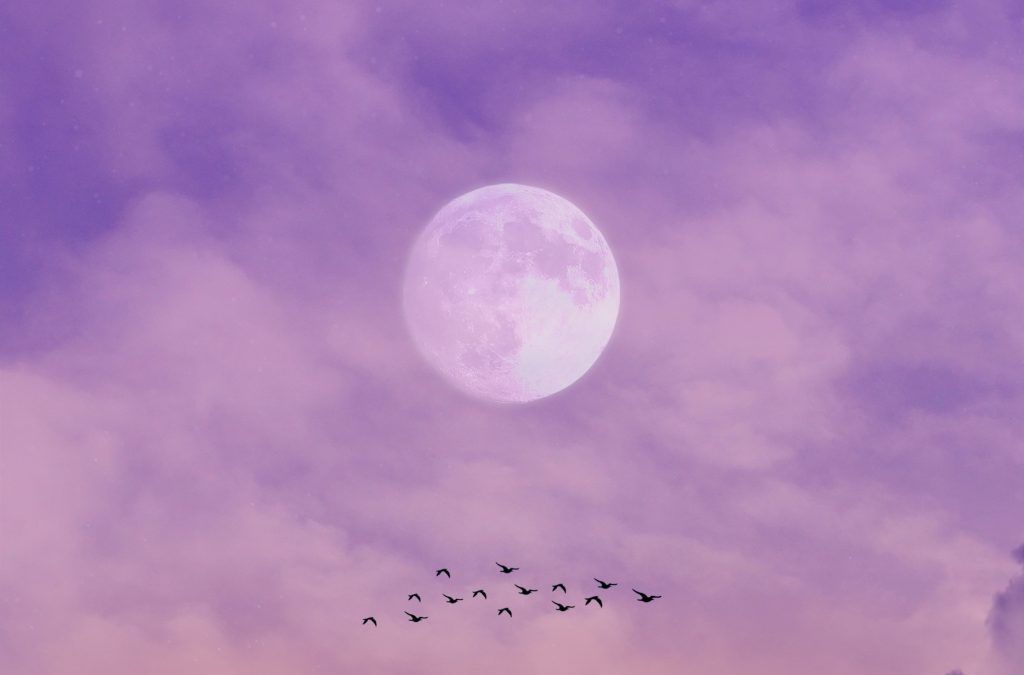 Strawberry full moon in June 2023: What it means for your zodiac sign