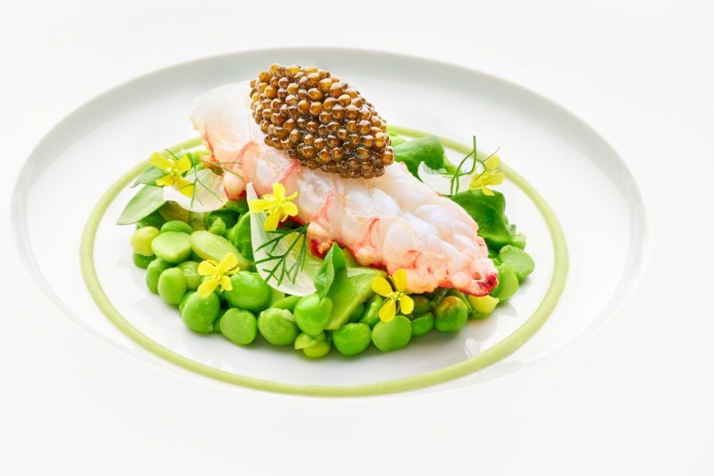 JAAN - Langoustine