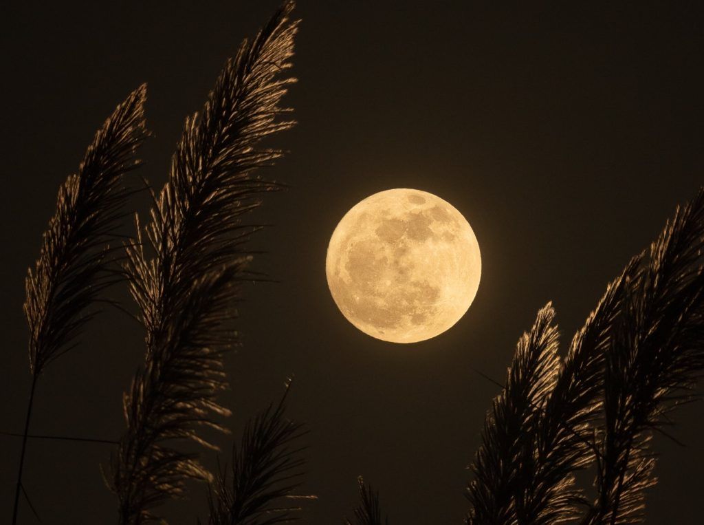 July 2023 full moon: How the buck supermoon will affect all zodiac signs