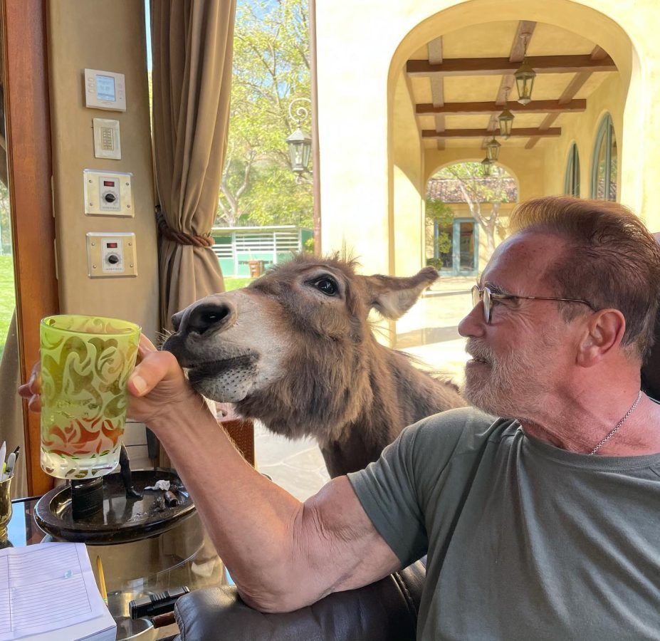 Arnold Schwarzenegger's net worth and the expensive things he owns