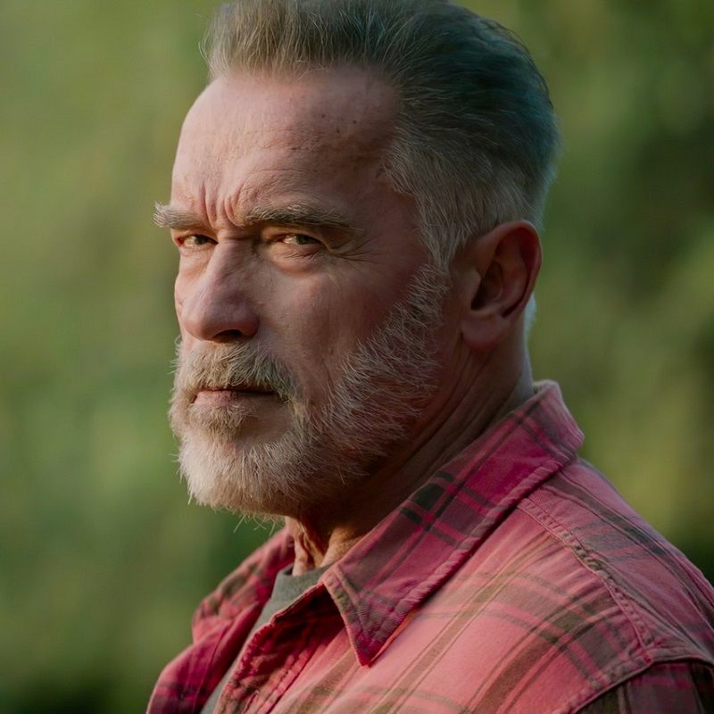 Arnold Schwarzenegger’s net worth and the most expensive things he owns