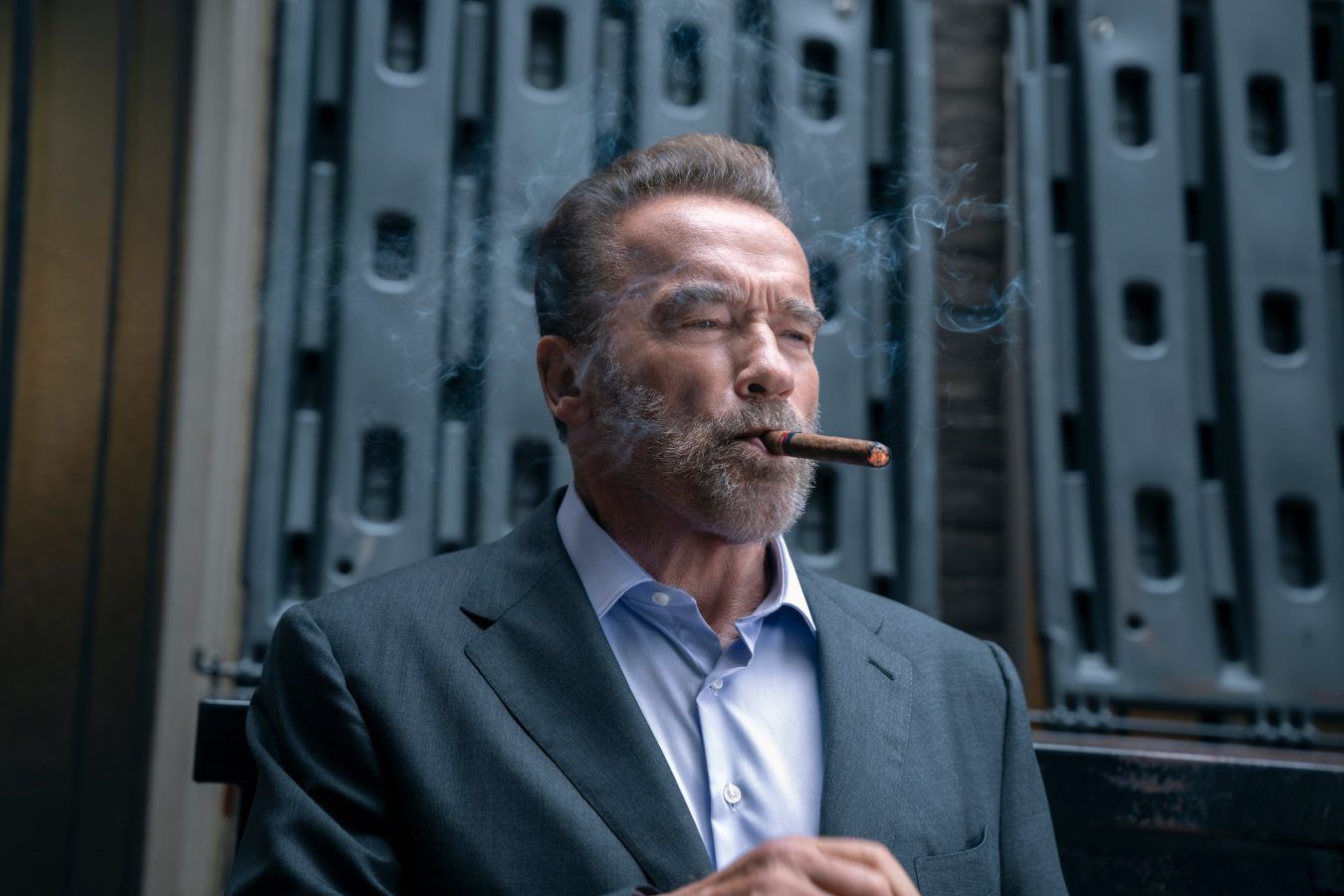 Best Arnold Schwarzenegger Movies & Performances Ranked