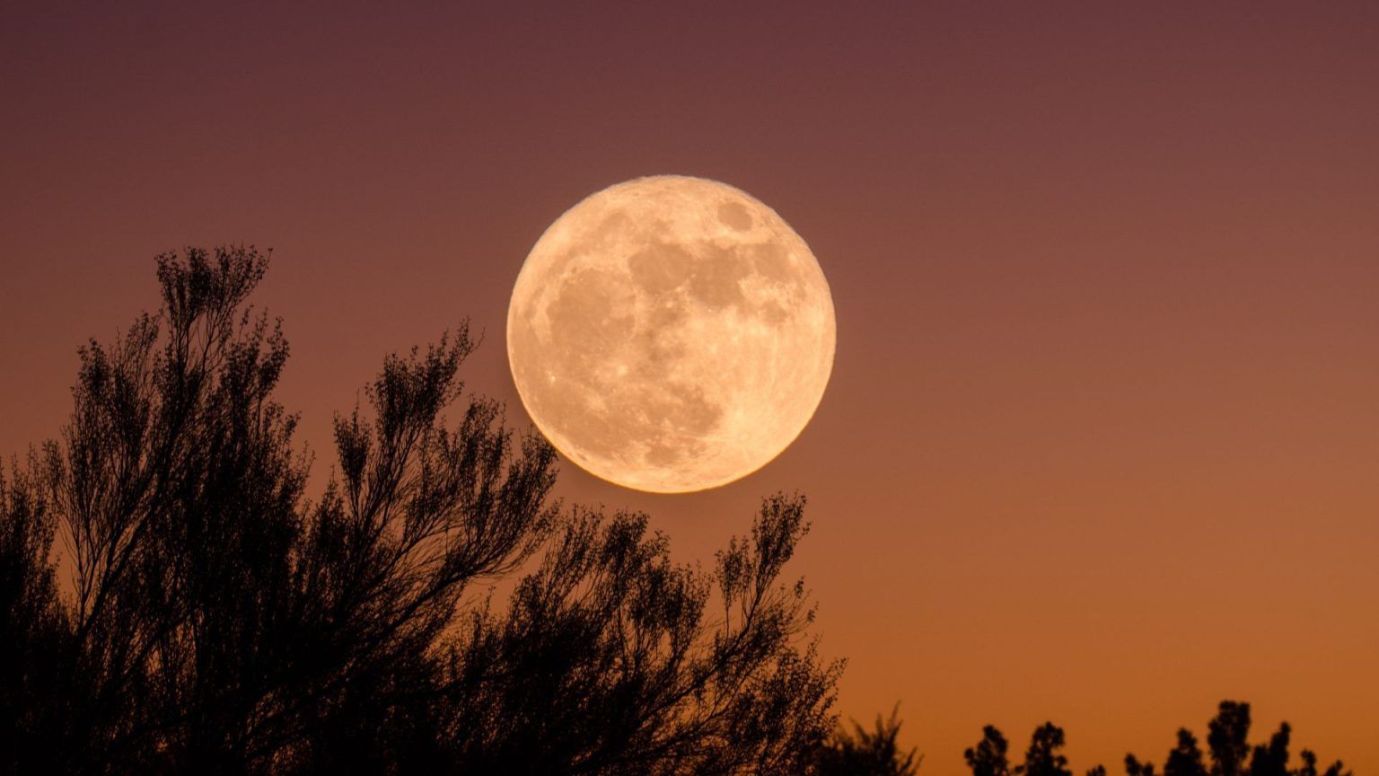 How ad when to watch the two supermoons in August 2023