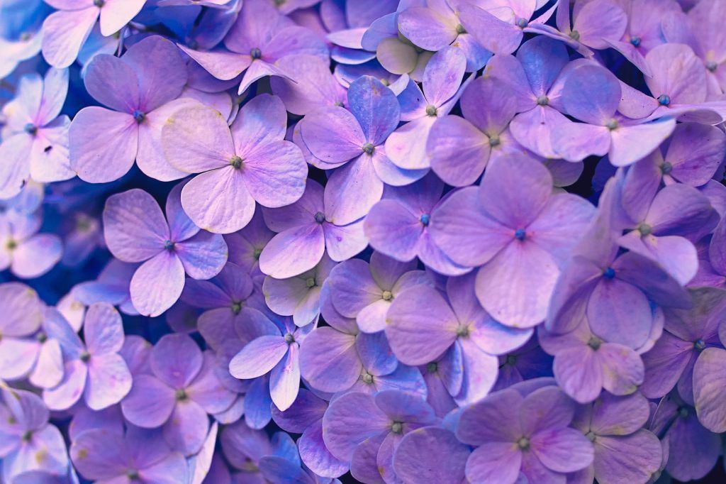 Most lucky and unlucky colours for Virgo to love and avoid