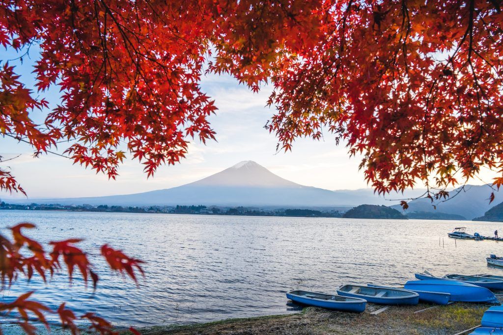 Where to see the best fall foliage in Japan this Autumn 2023