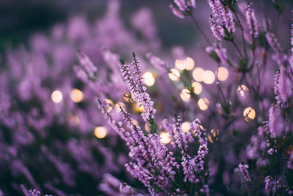 Lucky and unlucky colours for the charming, friendly and creative Libra