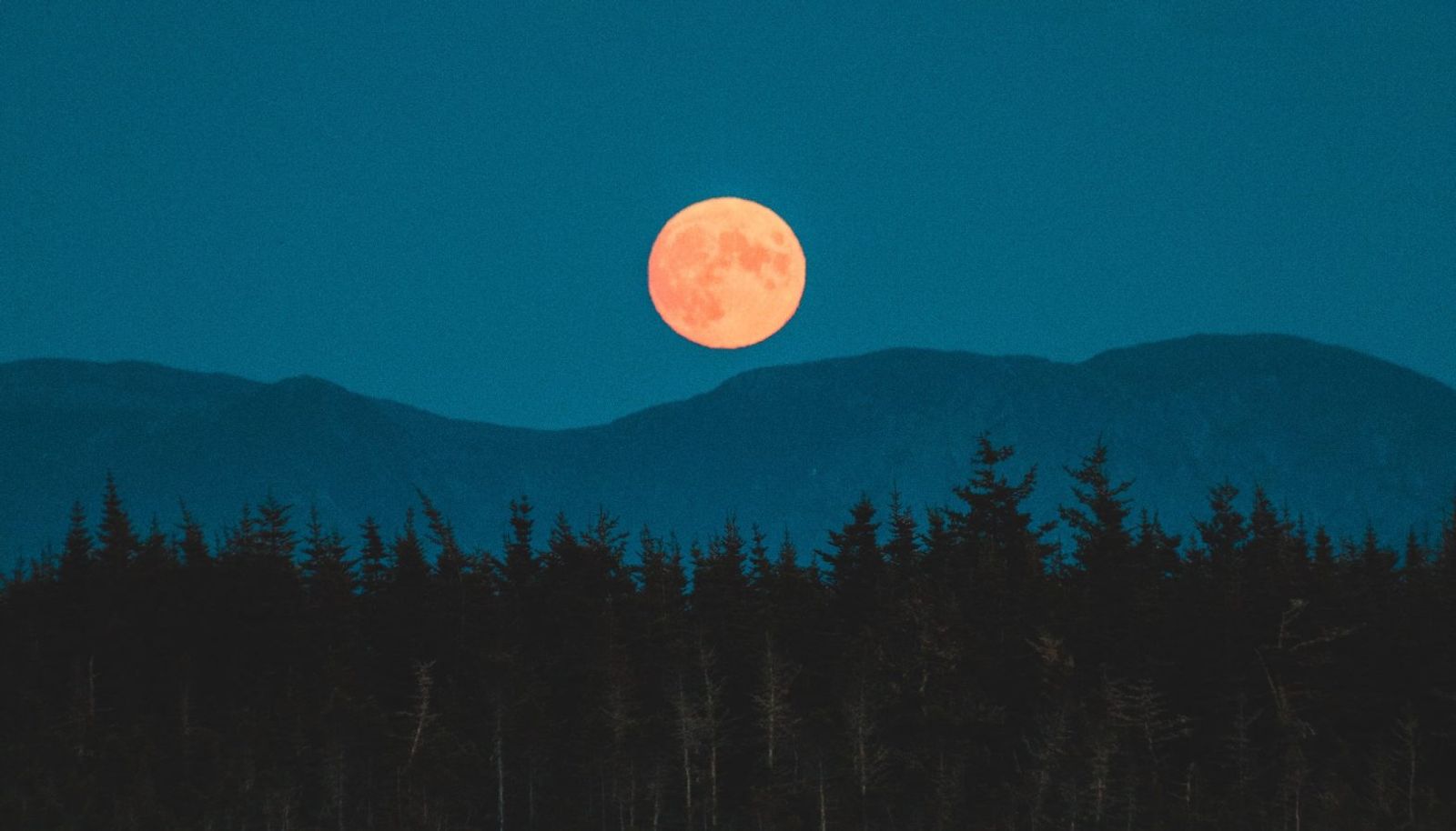 September Harvest Moon 2023: Meaning and effects on zodiacs