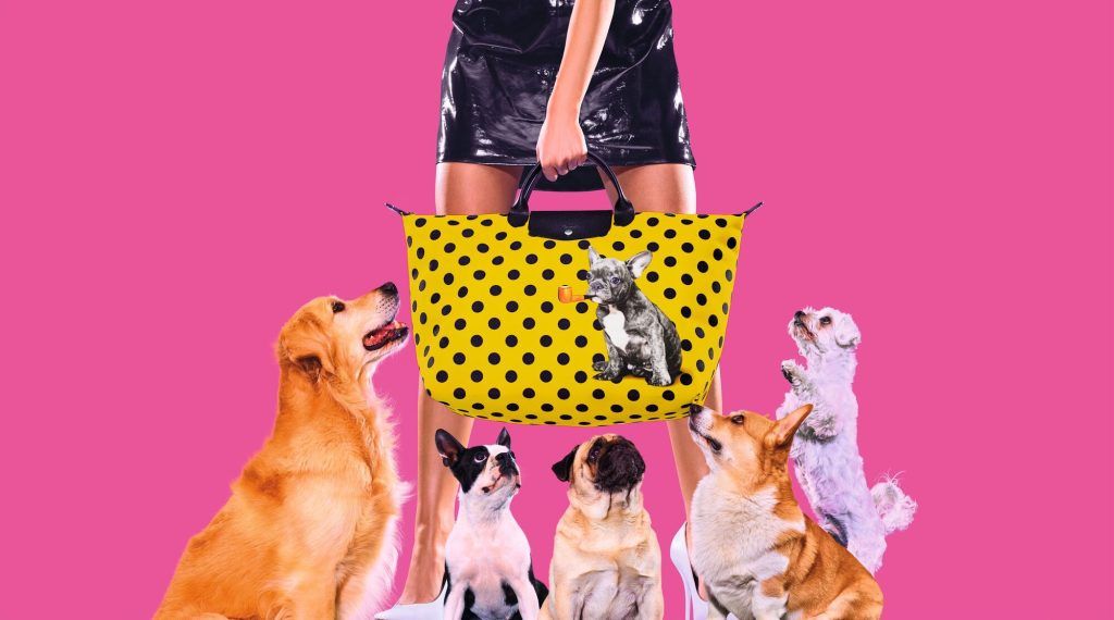 8 best Longchamp collaborations of all time to shop