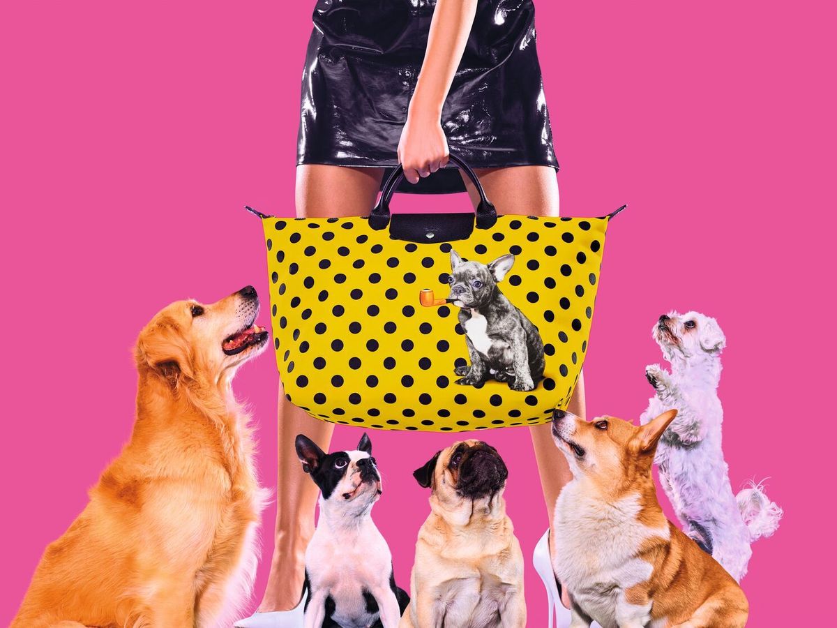 Longchamp sales 2019 pig