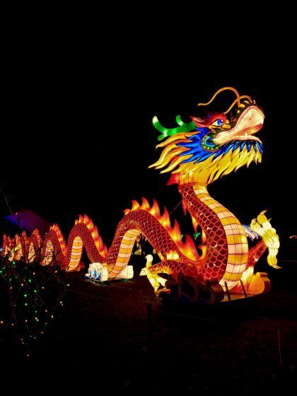 Chinese zodiac signs predictions for 2024 Year of the Wood Dragon