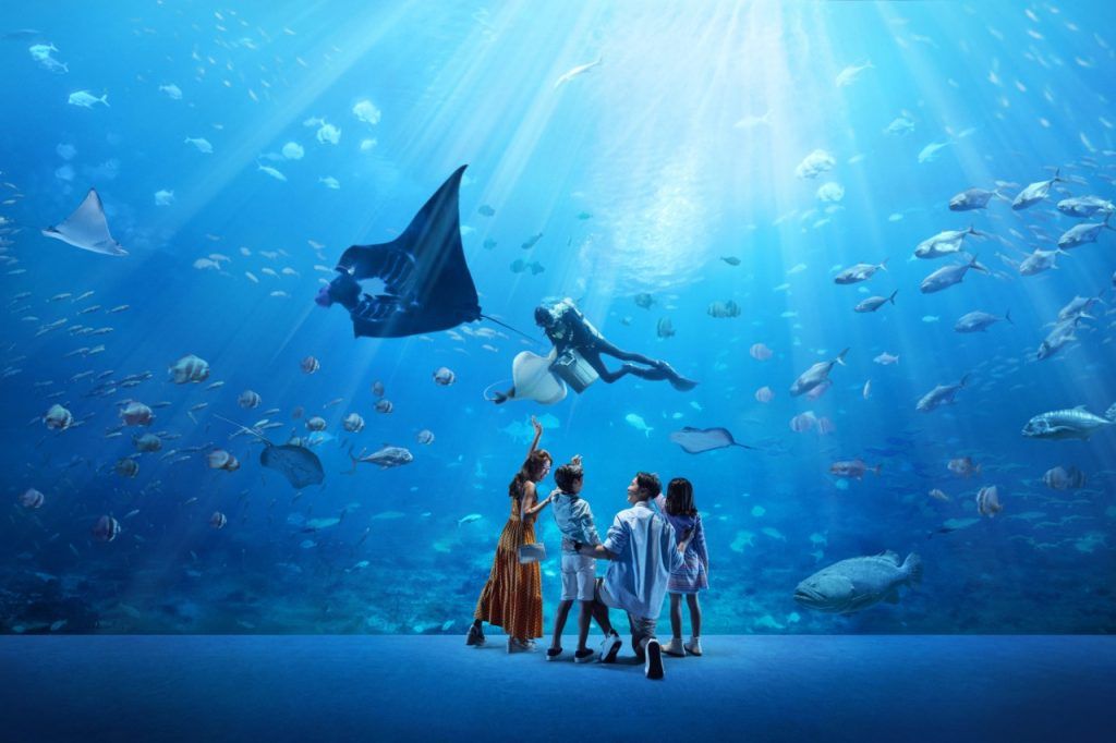 Best Singapore Attractions 2024 New Openings To Visit This Year   SEA Aquarium Singapore 1024x682 