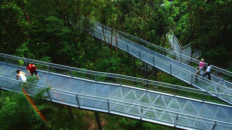 singapore southern ridges bridge path trail