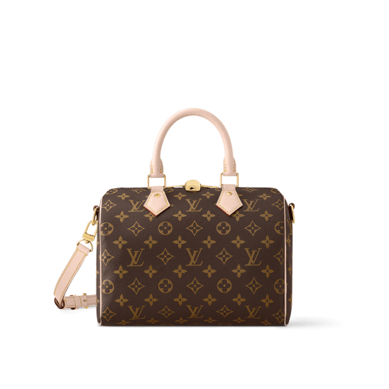 prettiest louis vuitton bag