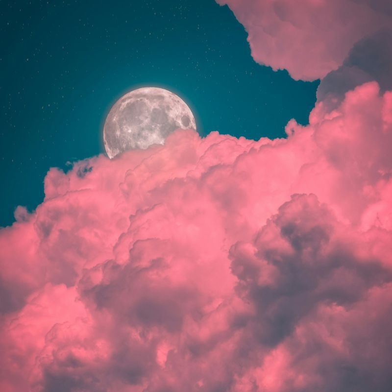 April Pink Full Moon in Scorpio: Zodiacs, gear up for emotional heavy lifting & miracles