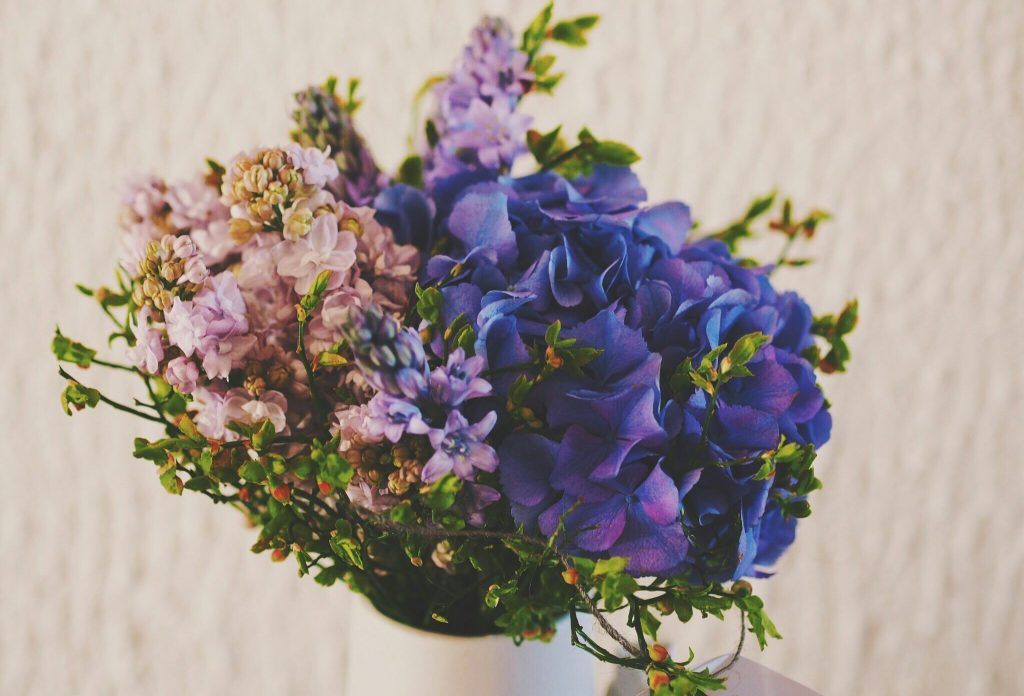 Your guide to the lucky birth flowers for each month, from meanings to symbolism