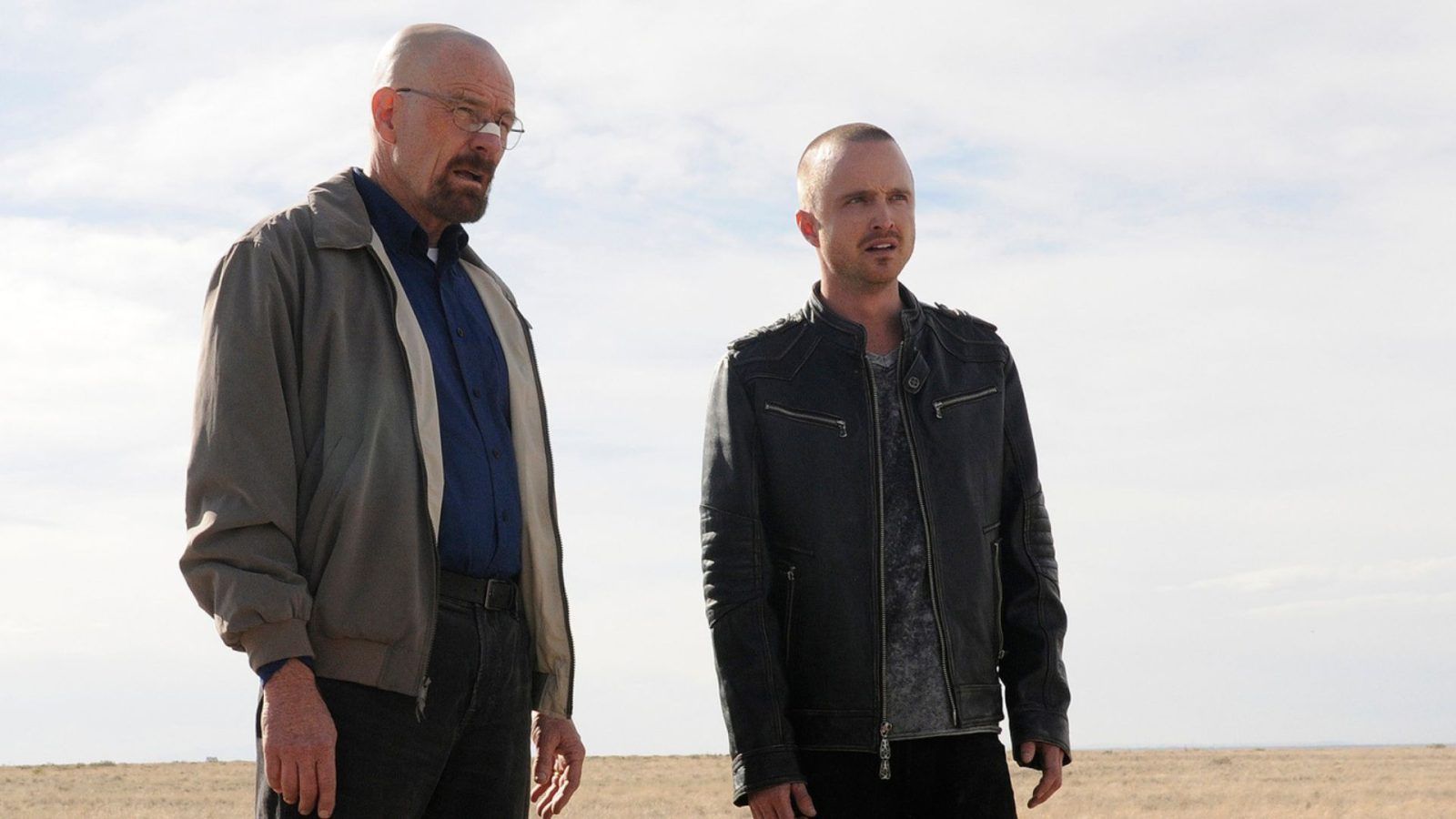 <i>Dark</i>, <i>Breaking Bad</i>and other shows with unexpected plot twists