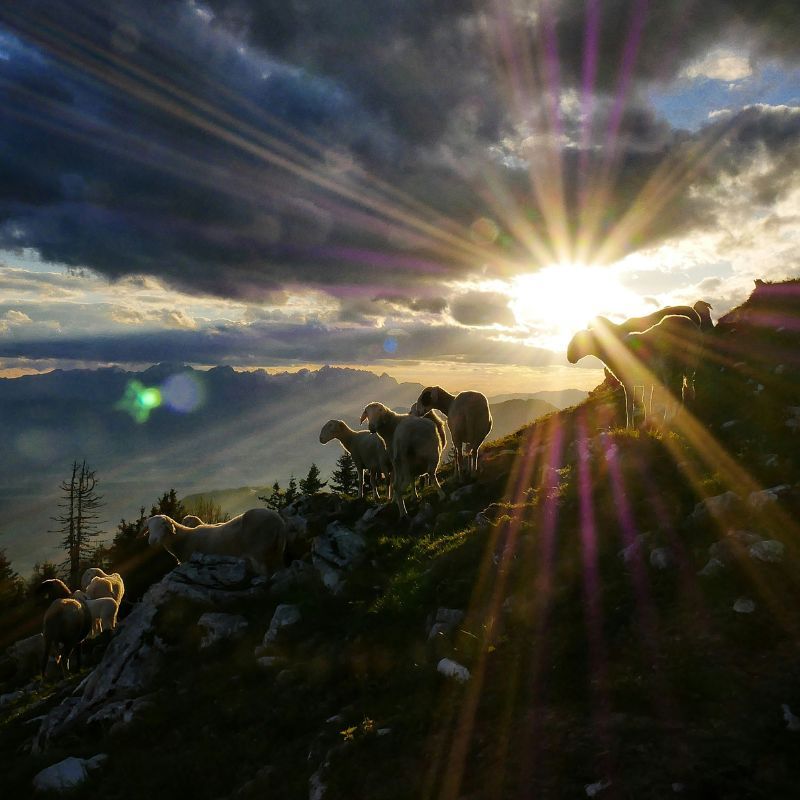 Understanding perihelion and aphelion: Why are these celestial events remarkable?