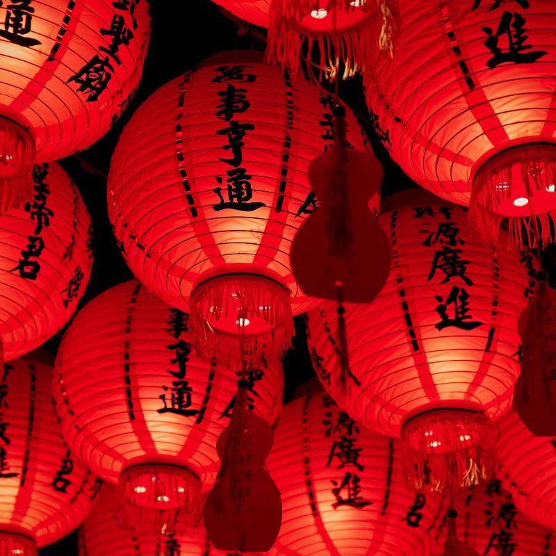 Monthly horoscope for Chinese zodiac: Love, health and career predictions for August 2024