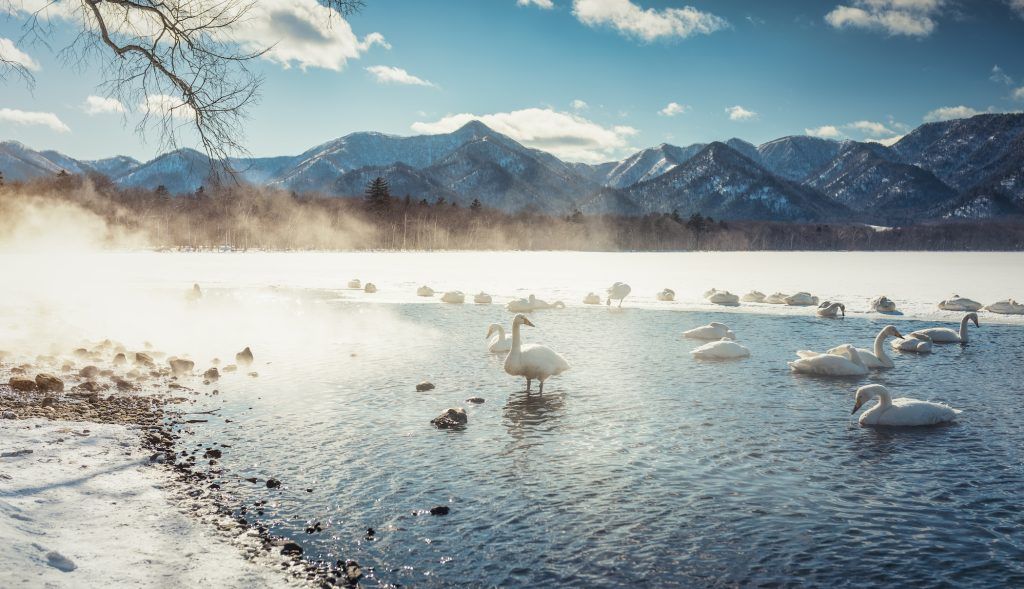 The perfect 10-day itinerary for Hokkaido, Japan’s year-round wonderland