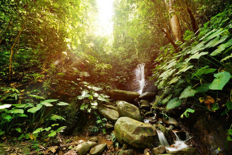 national park malaysia crocker sabah