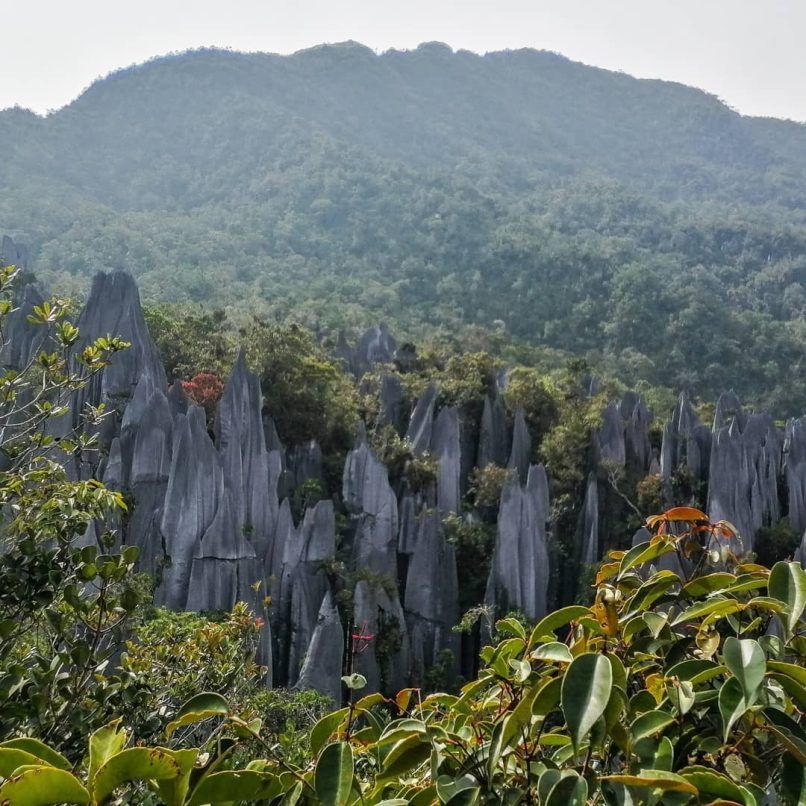 gunung mulu national park malaysia
