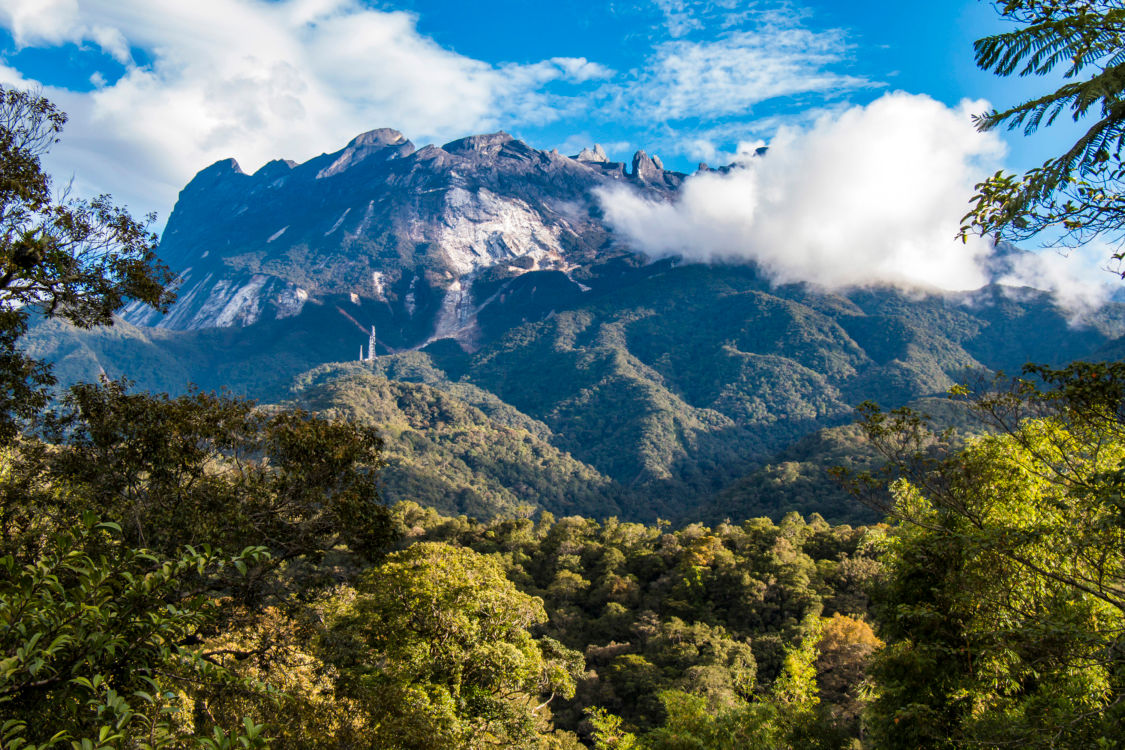 7 best national parks in Malaysia for the best hikes