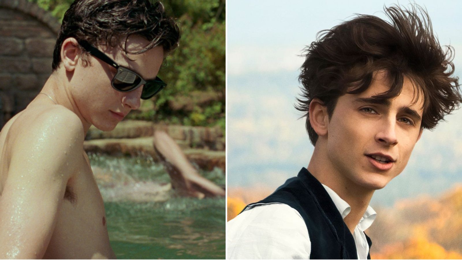 Top-rated Timothée Chalamet movies on IMDb | Lifestyle Asia Singapore