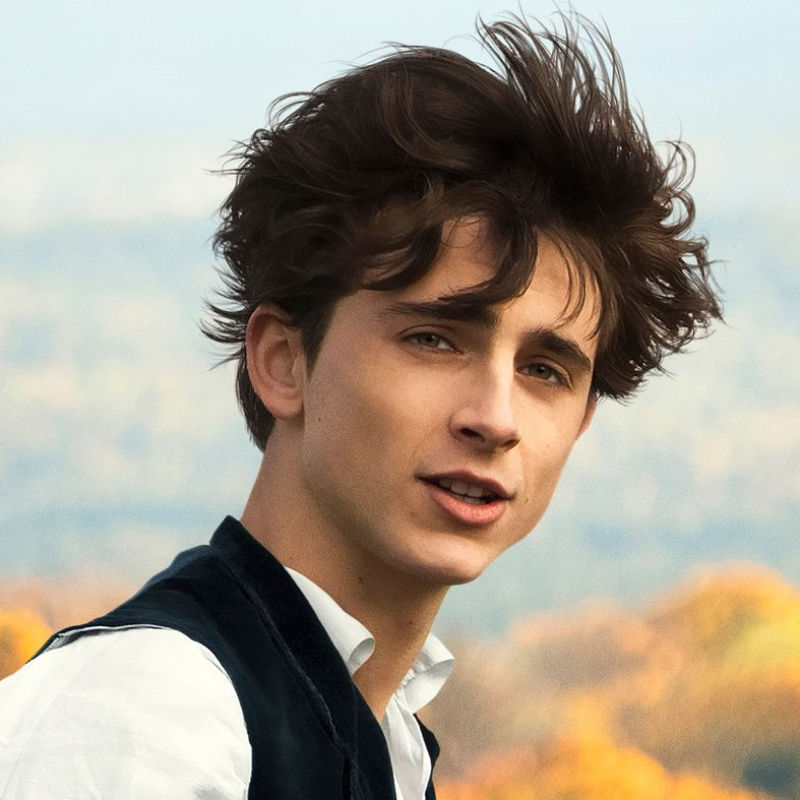 Highest-rated Timothée Chalamet movies on IMDb: ‘Call Me by Your Name’, ‘Dune’ and more