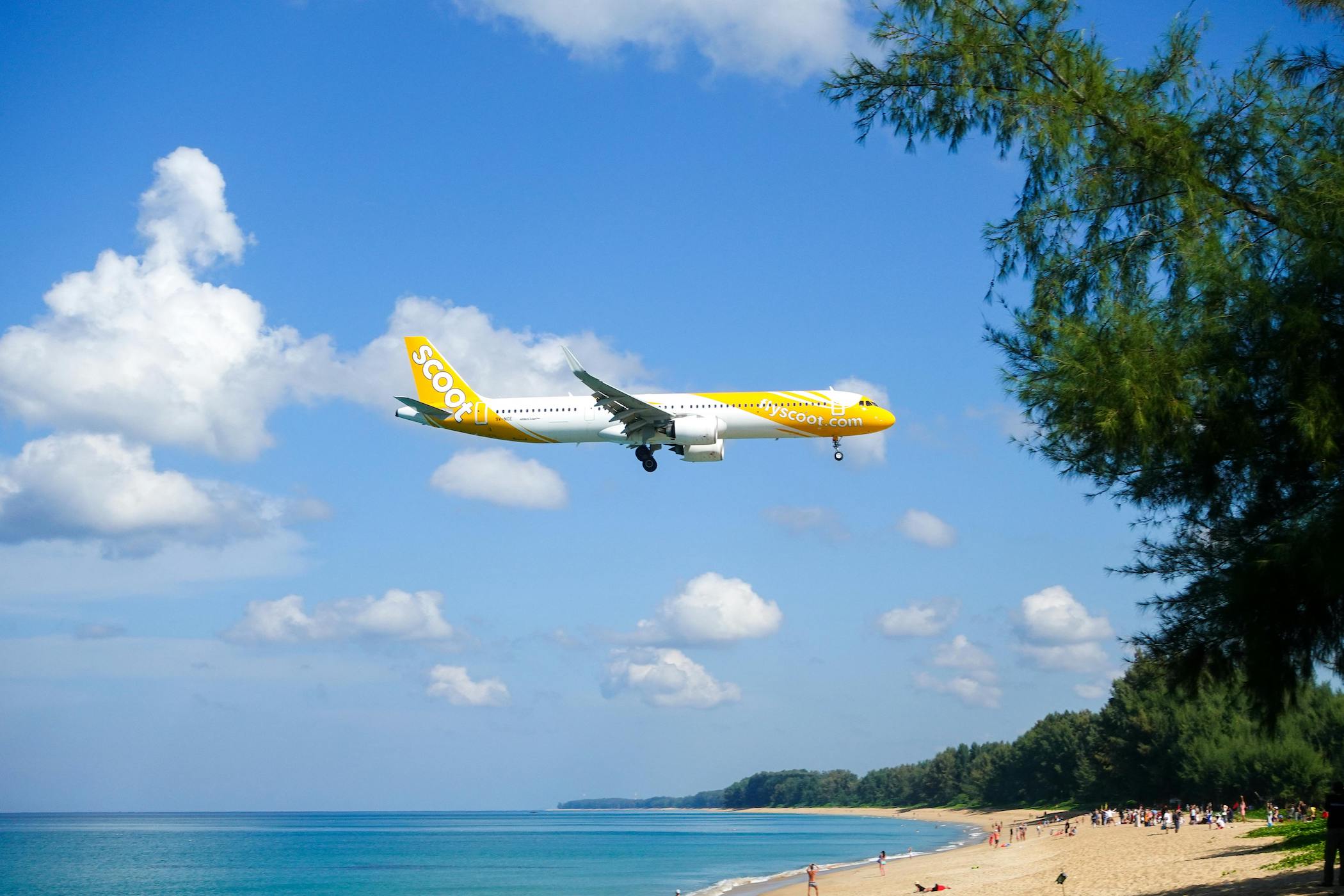 Scoot Airlines Launches Direct Flights to Phu Quoc, Padang, and Shantou in 2024 and 2025