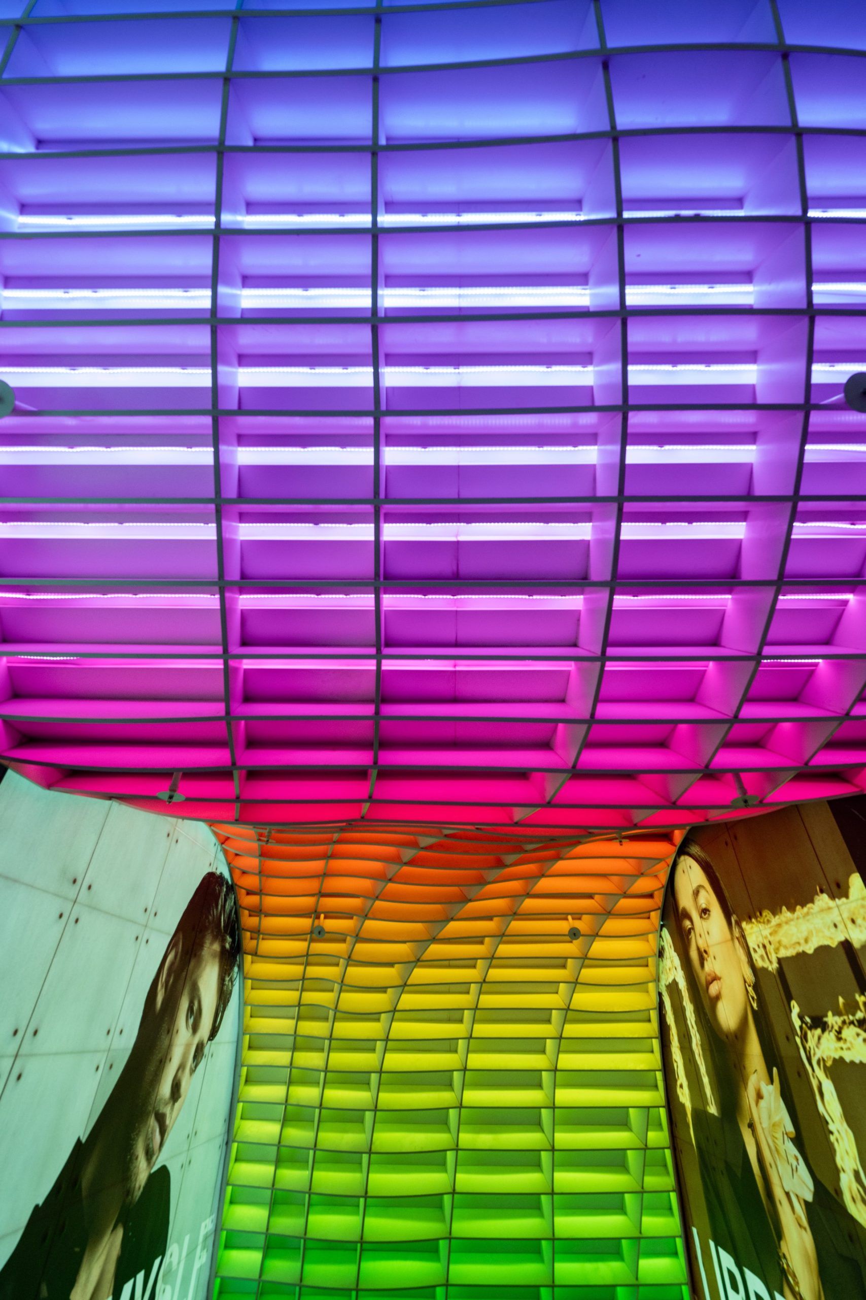 Rainbow Es Curter Ion Orchard