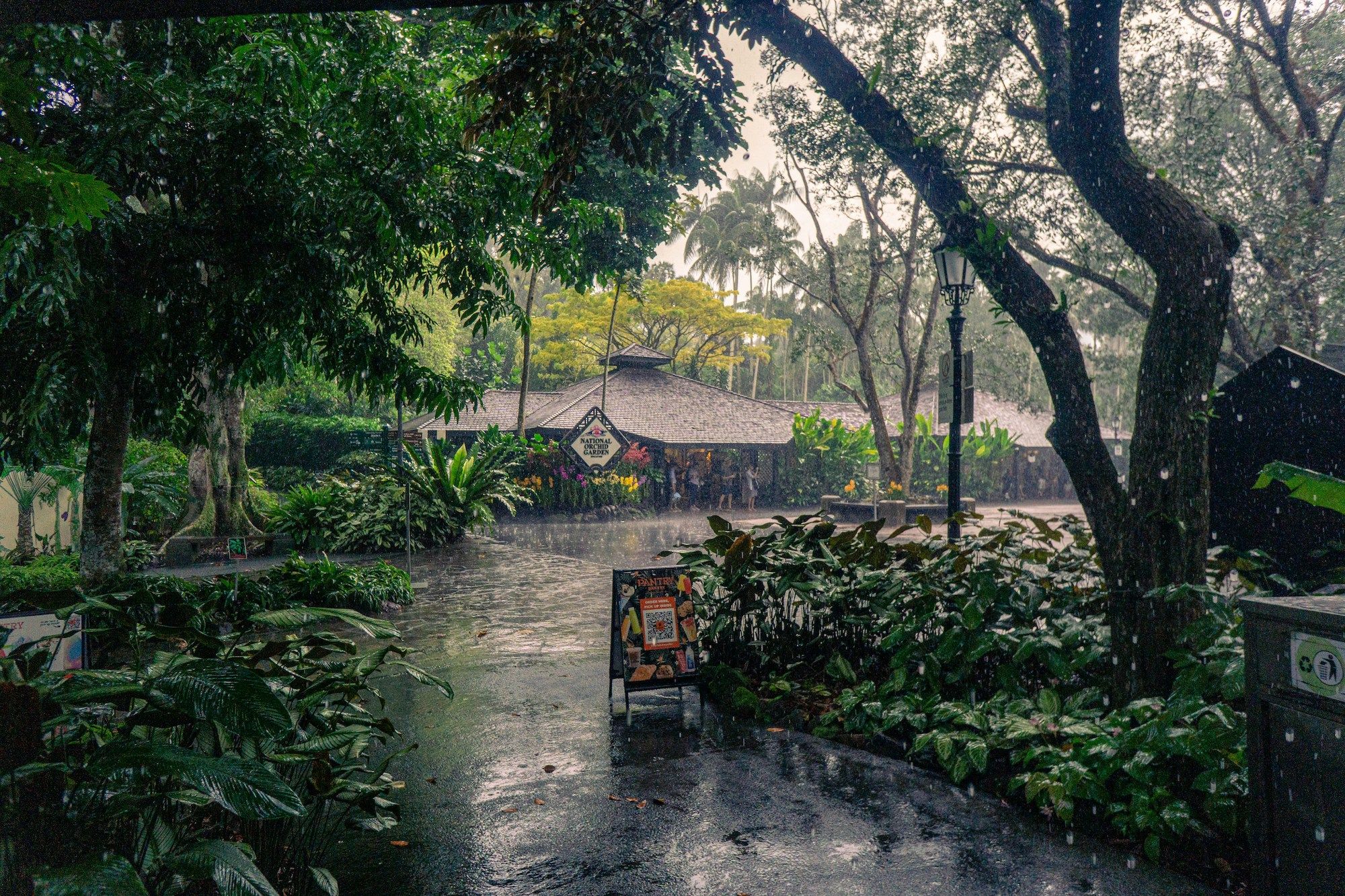 Monsoon surge and heavy rain in Singapore Jan 2025 What you need to know