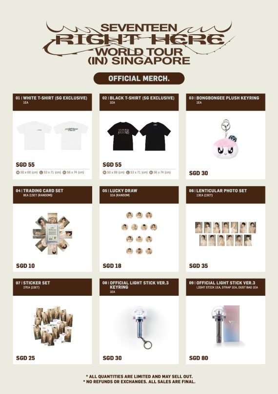 Seventeen 2025 Singapore concert guide VIP, merchandise, & details