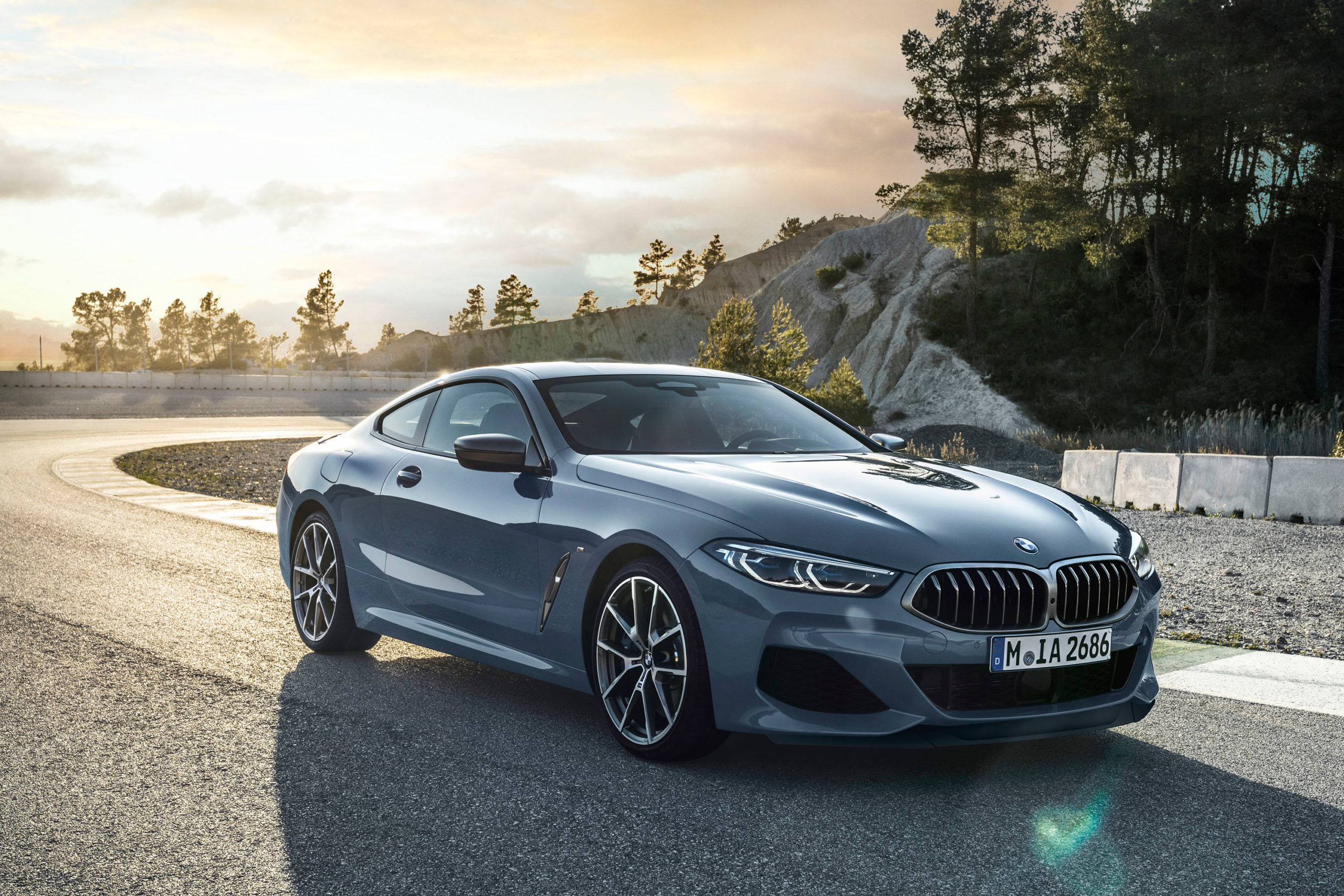 The BMW 8 Series Gran Coupe is a luxury sports car for a family of four