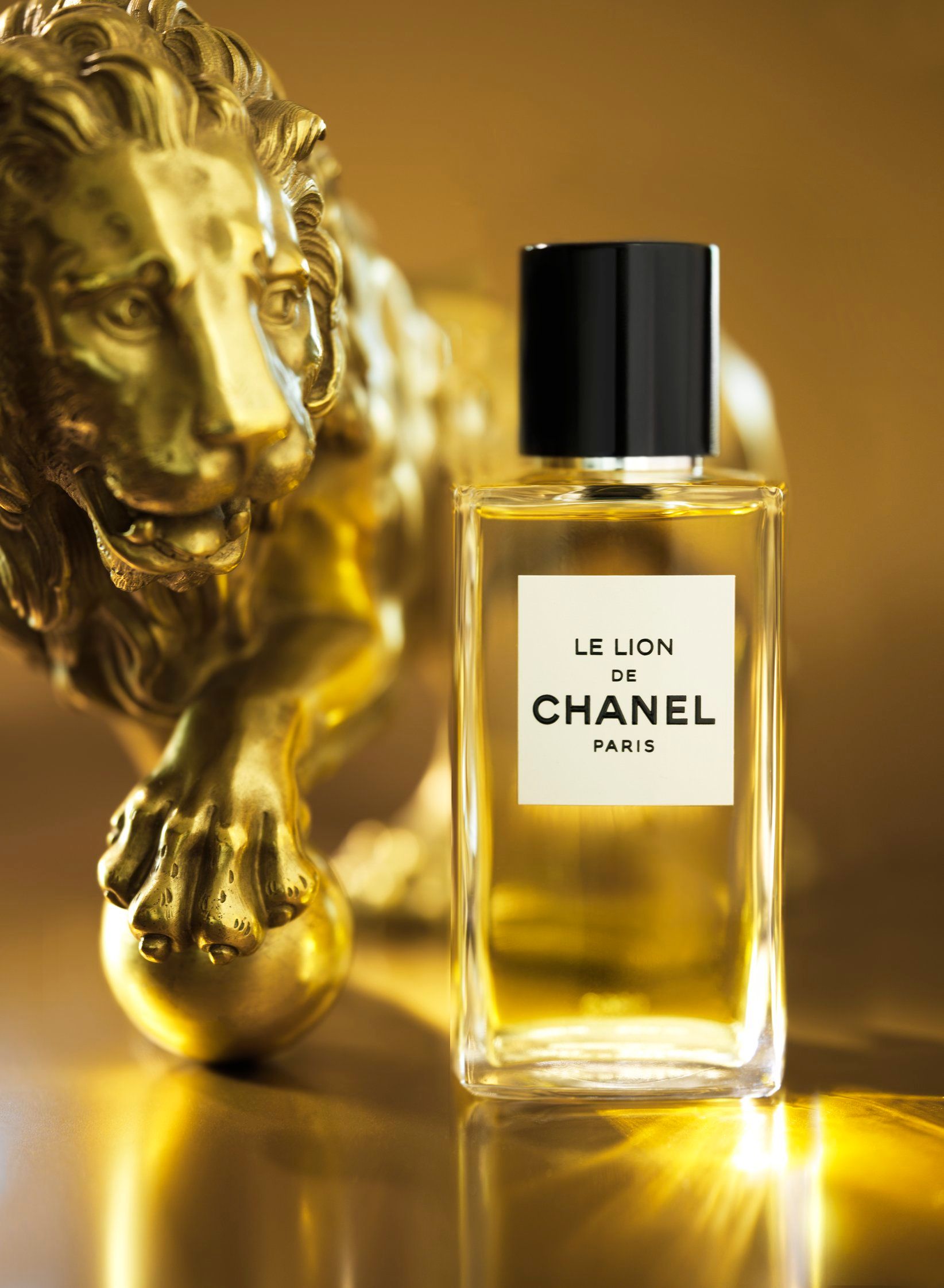 Le Lion de Chanel, the newest oriental fragrance from Chanel is here
