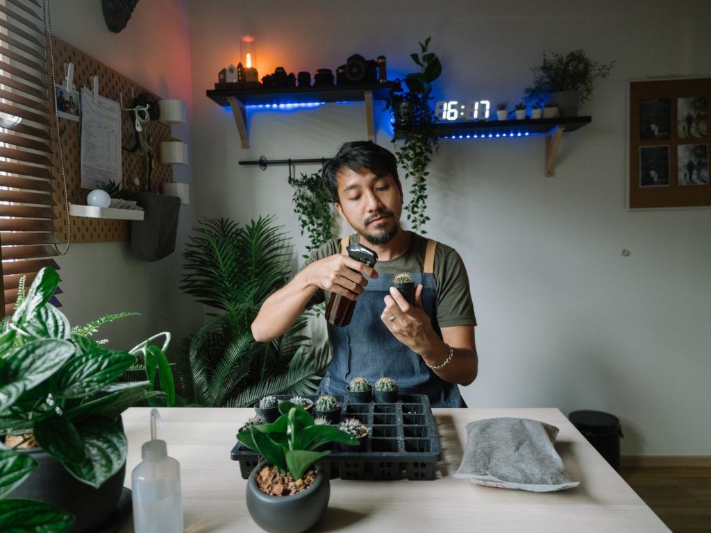 Plant Influencers or Plantfluencers are now making it big on every social platform