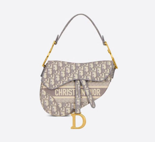 Dior Saddle bag in gray Dior Oblique embroidery