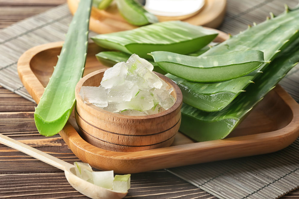Why every skincare addict needs aloe vera in their routine (plus, the best aloe vera gels in India)