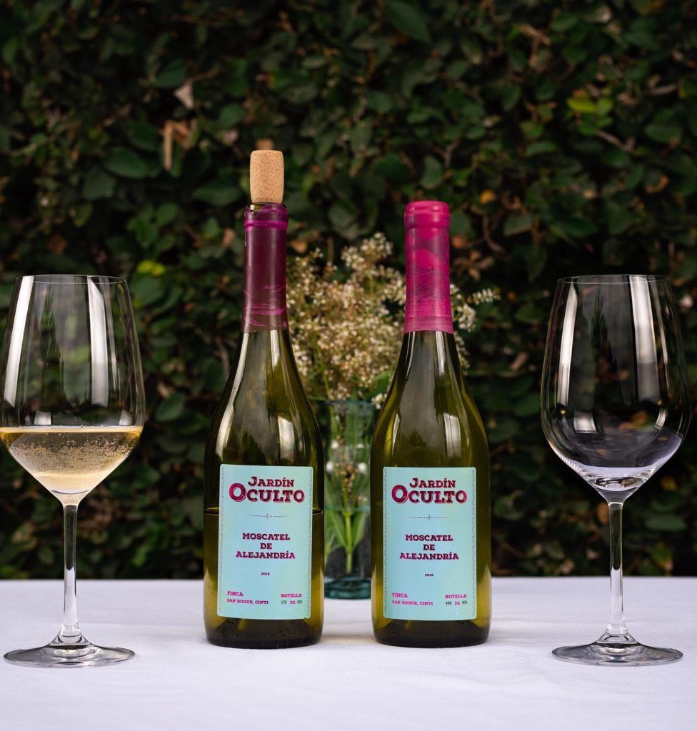 Oenophiles, here’s why Bolivian wine should be on your must-try list