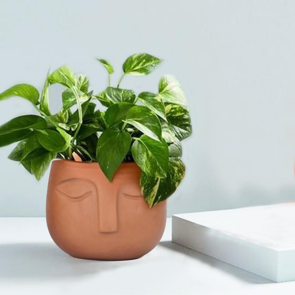 Here's an easy guide to the cutest minimalistic planters for plant parents