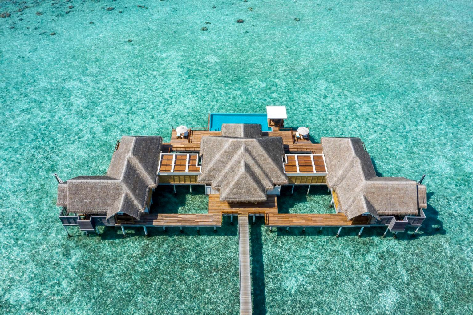 maldives covid-free