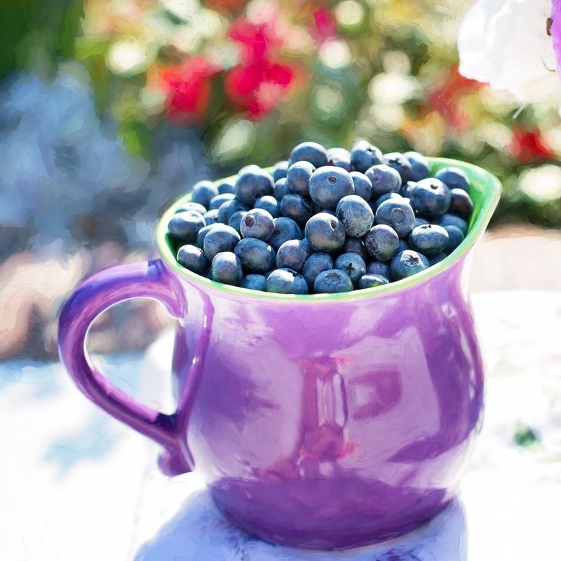 10 immunity-boosting foods you should include in your diet
