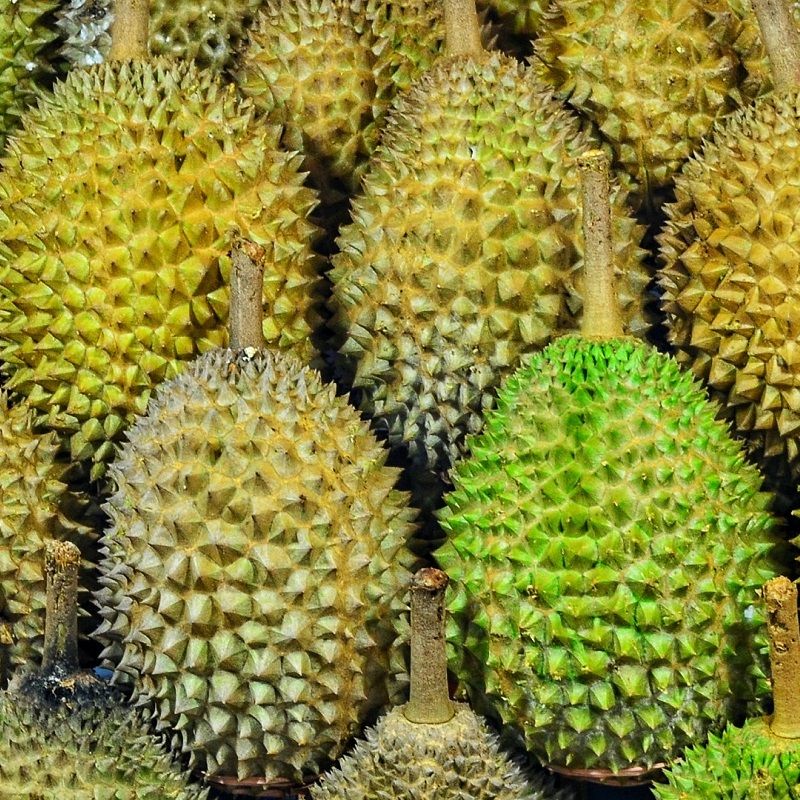 Weird foods and dishes that will probably leave you shocked