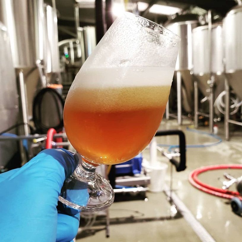 Tempest Brewing Co