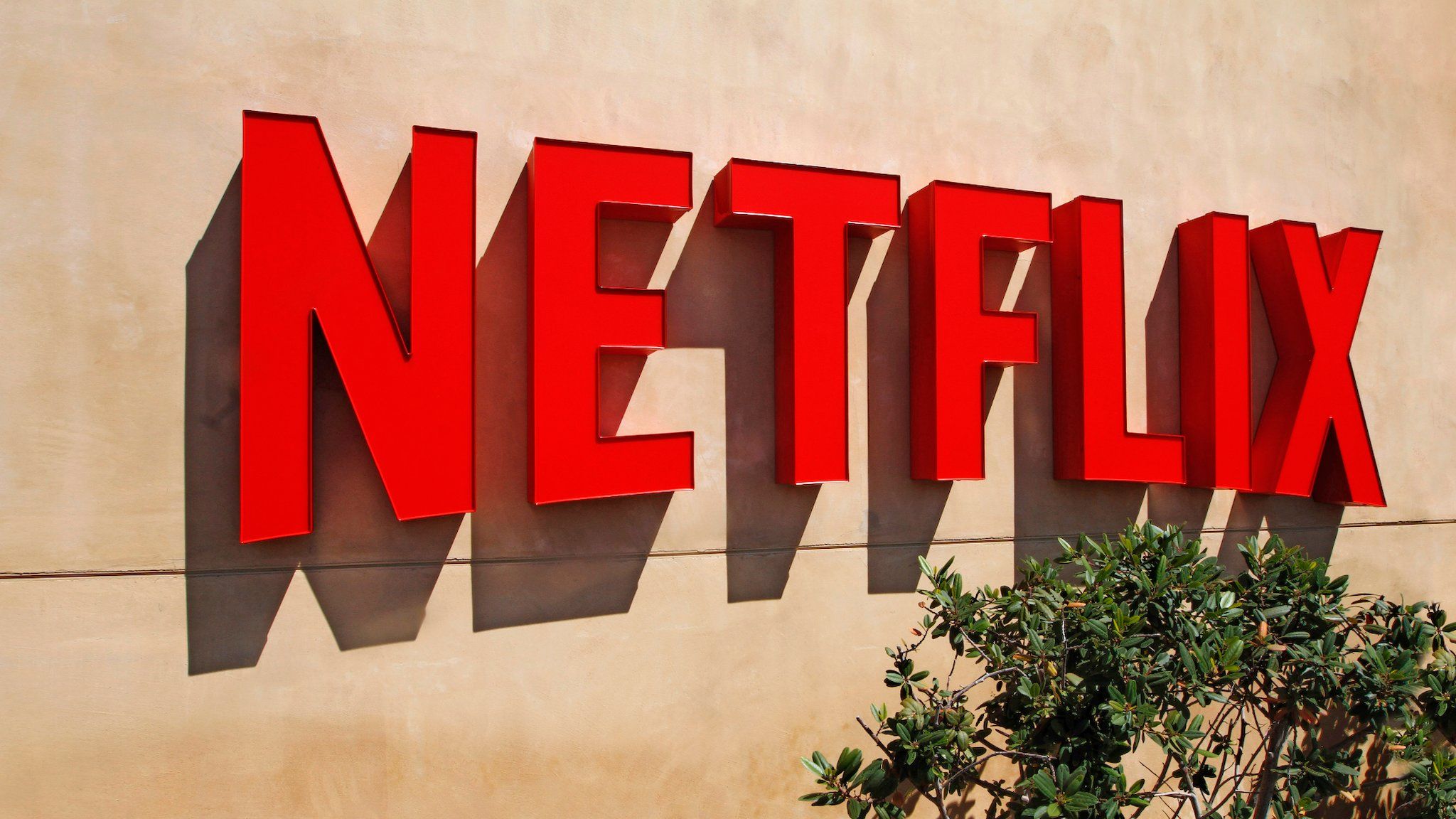 Bizarre shows on Netflix